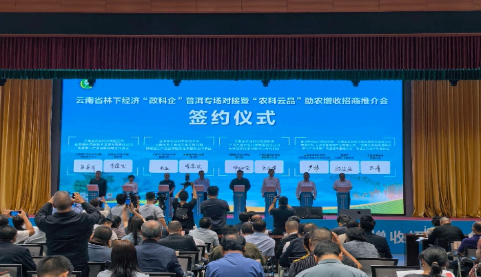 科技赋能辣椒产业—云南省农科院园艺所与尼罗非食品达成深度产学研合作