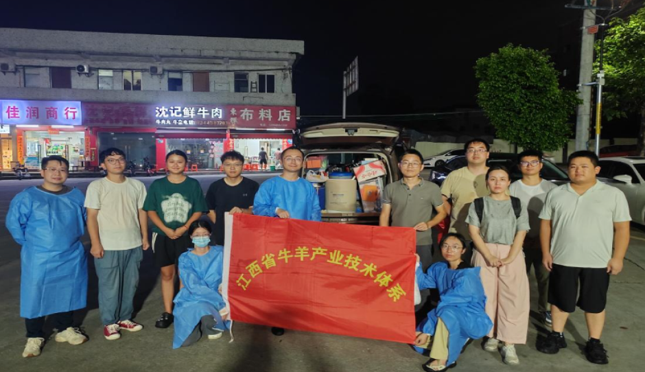 江西省农科院省牛羊产业技术体系专家赴粤开展肉牛良种技术屠宰验证试验