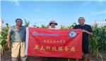 亚夫科技服务团开展玉米品种田间鉴定，助力秋粮丰产丰收