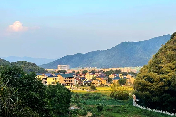 河北省张家口市宣化区：推动全产业链绿色转型 “小谷子”做成“大文章”