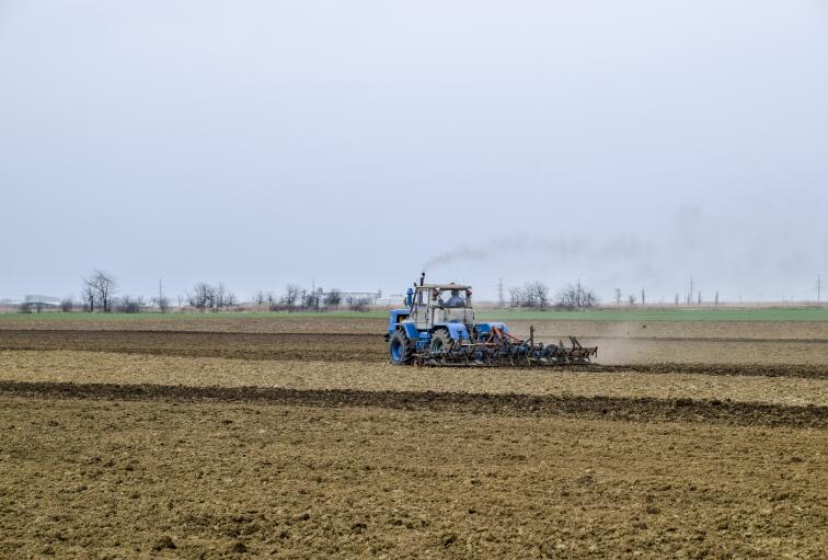 节气农事活动│小寒料峭 盼雪迎春
